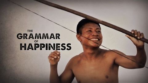 The Grammar of Happiness