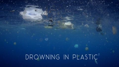 Drowning in Plastic